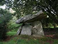 Gaulstown Portal Tomb